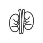 Eliminação Renal